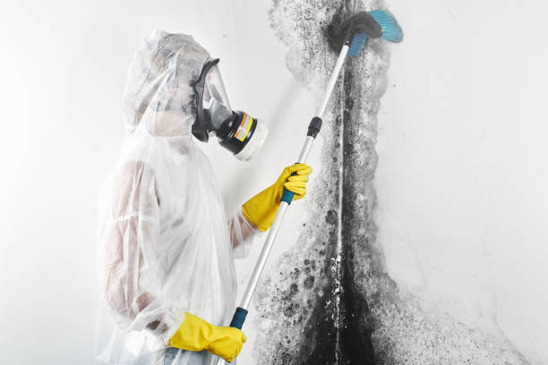 Best HVAC Mold Inspection and Cleaning  in Ashland, OH