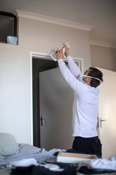 Best Black Mold Removal  in Ashland, OH