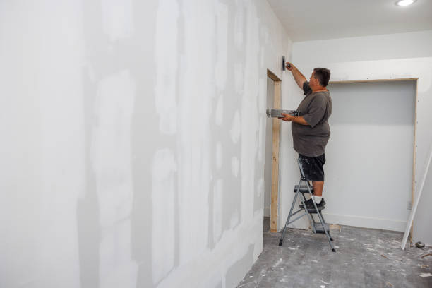 Best Basement Mold Removal  in Ashland, OH