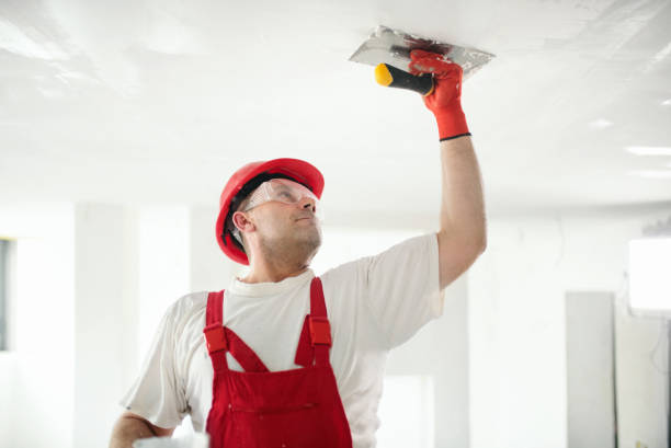 Best Forensic Mold Investigation  in Ashland, OH