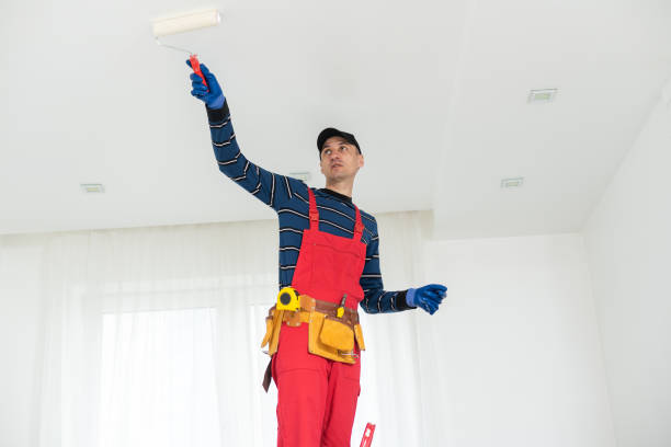 Best Attic Mold Removal  in Ashland, OH