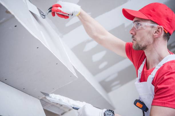 Best Mold Damage Restoration  in Ashland, OH